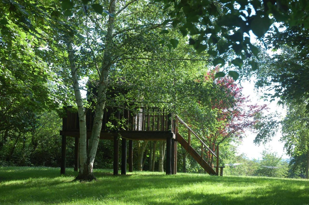 Le Logis Du Pressoir Self Catering Gites In Beautiful 18Th Century Estate In The Heart Of The Loire Valley With Heated Pool And Extensive Grounds. Les Bois-d'Anjou Zewnętrze zdjęcie