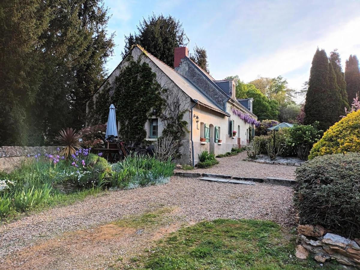 Le Logis Du Pressoir Self Catering Gites In Beautiful 18Th Century Estate In The Heart Of The Loire Valley With Heated Pool And Extensive Grounds. Les Bois-d'Anjou Zewnętrze zdjęcie
